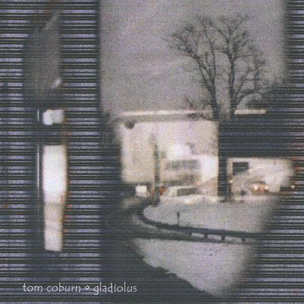 Cover art for Gladiolus